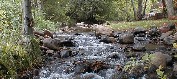 Oak Creek - Sedona, AZ