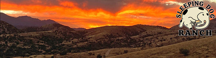 Sleeping Dog Ranch